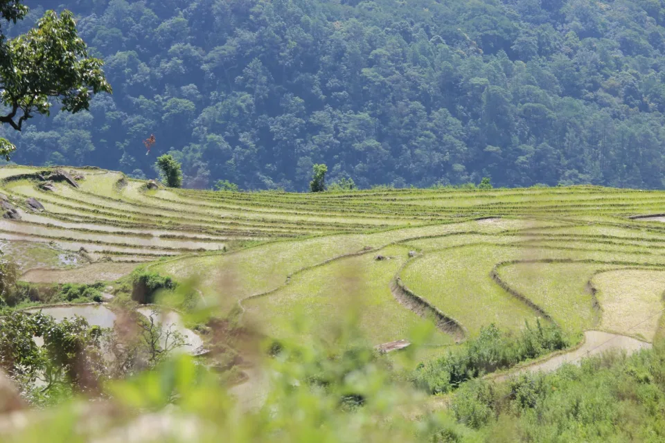 Kho gạo của Nguyễn Văn Vũ